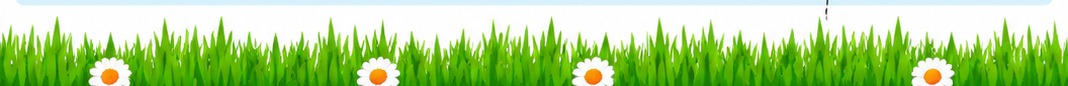 Green grass and daisies forming a decorative footer border